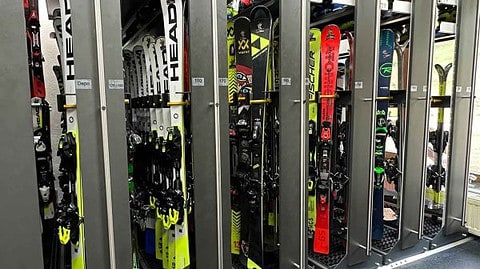 Ski für Erwachsene